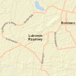 Boniewo Street Map