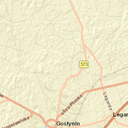 Gostynin Street Map
