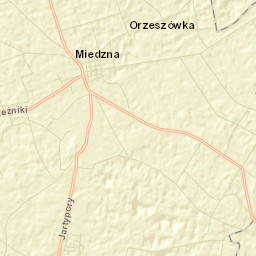 Miedzna Street Map