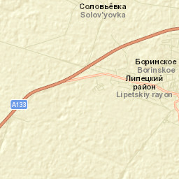 Borinskoye Street Map