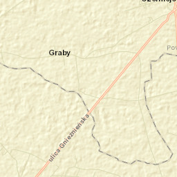 Czerniejewo Street Map