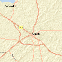 Gąbin Street Map