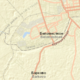 Livny Street Map