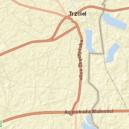 Trzciel Street Map