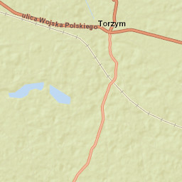 Torzym Street Map