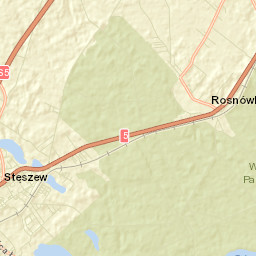Stęszew Street Map