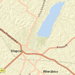 Słupca Street Map