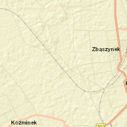 Zbąszynek Street Map