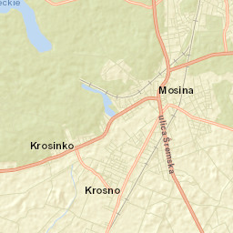 Mosina Street Map