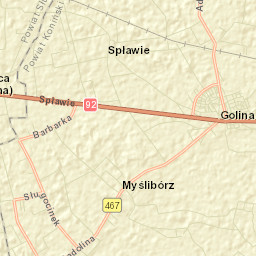 Golina Street Map