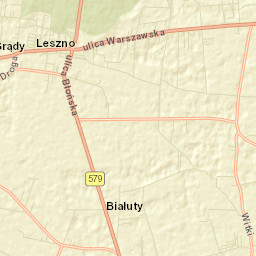 Leszno Street Map