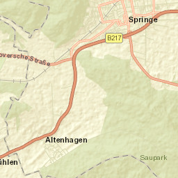 Springe Street Map