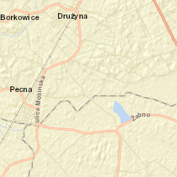Pecna Street Map