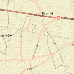 Bieniewice Street Map