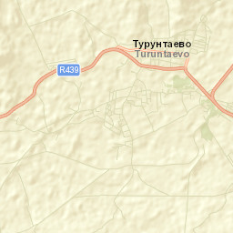 Turuntayevo Street Map