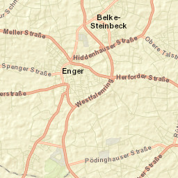 Enger Street Map