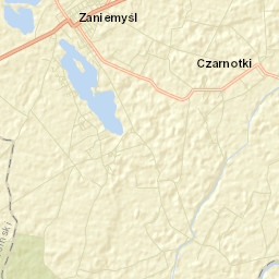 Zaniemyśl Street Map