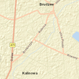 Brudzew Street Map