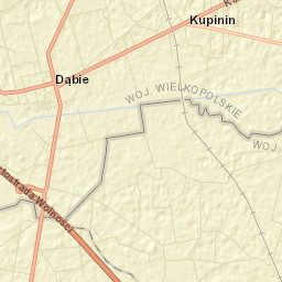 Dąbie Street Map