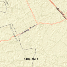 Siennica Street Map