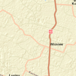 Wiśniew Street Map