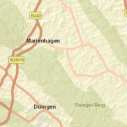 Duingen Street Map