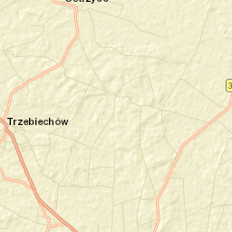Trzebiechów Street Map