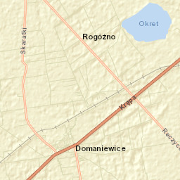 Domaniewice Street Map
