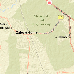 Zalesie Górne Street Map