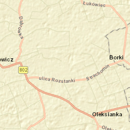 Latowicz Street Map