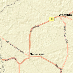 Wodynie Street Map