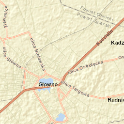 Głowno Street Map