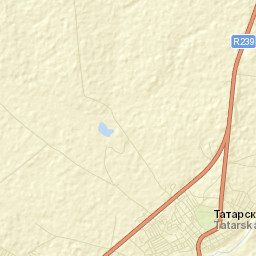 Tatarskaya Kargala Street Map