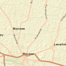 Pleszew Street Map