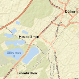 Dülmen Street Map