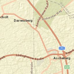 Ascheberg Street Map