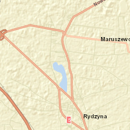 Rydzyna Street Map