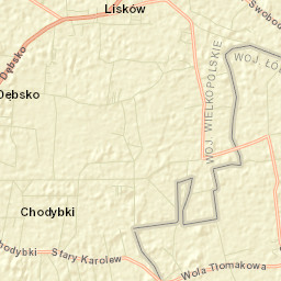 Lisków Street Map