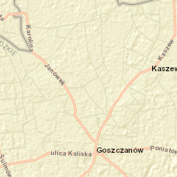 Goszczanów Street Map