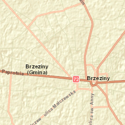 Brzeziny Street Map