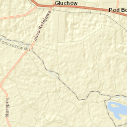 Głuchów Street Map