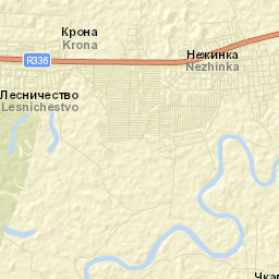 Nezhinka Street Map