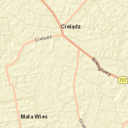 Cielądz Street Map