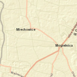 Mogielnica Street Map