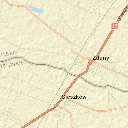 Zduny Street Map