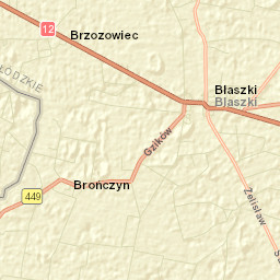 Błaszki Street Map