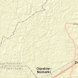 Dobroń Street Map