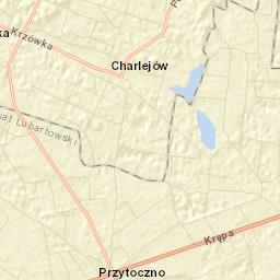 Przytoczno Street Map