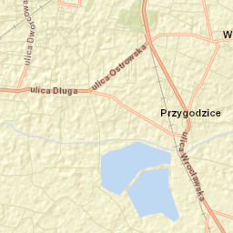 Przygodzice Street Map