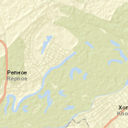 Repnoye Street Map